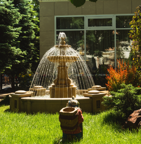 Rain gardens