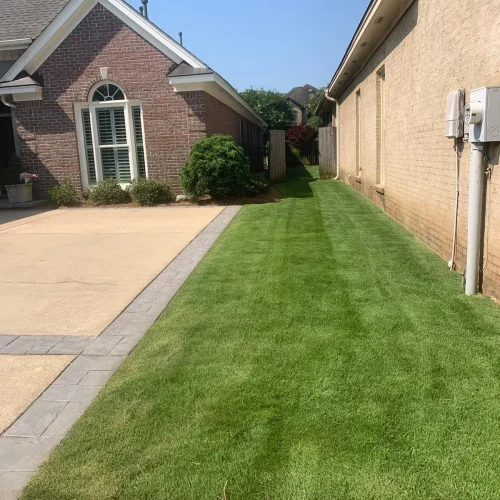 ce530278-7251-4936-8fac-61464096f7dd_2_11zon